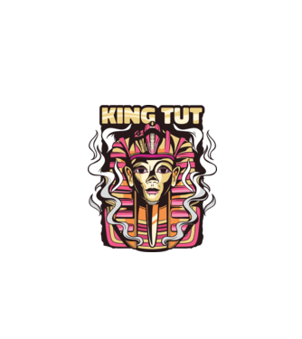 King Tut - Faraonul Tutankhamon model gri pe tricou