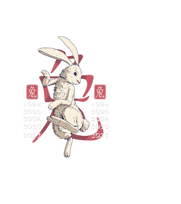 Year of the Rabbit model negru pe tricou