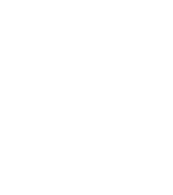 Love hochei model negru pe tricou
