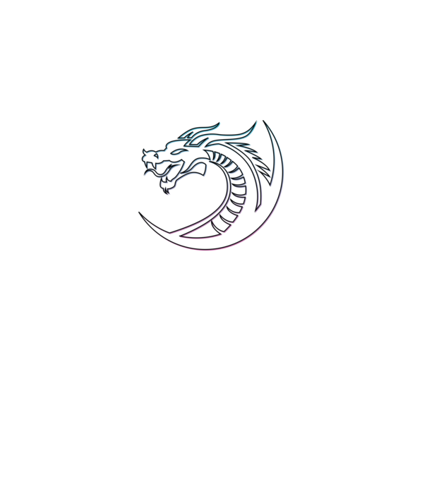 Dragon Tribal model negru pe tricou
