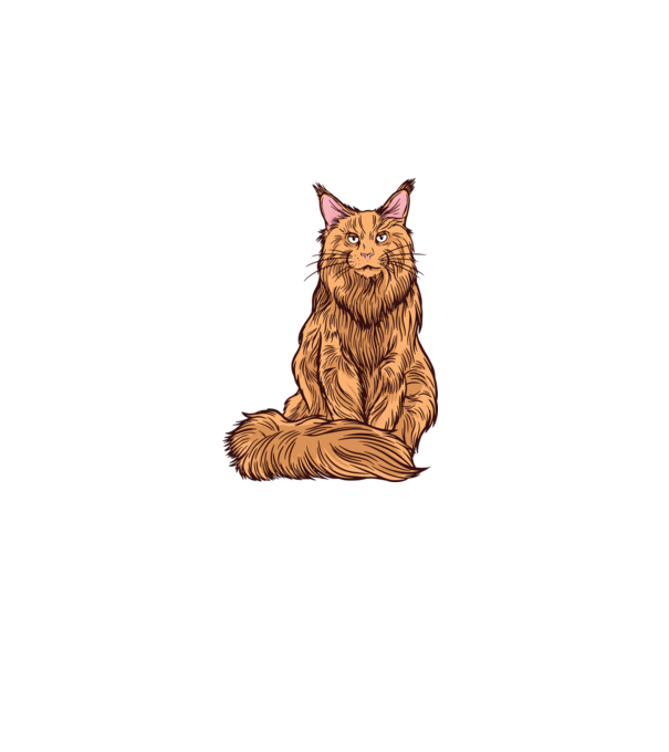 Pisică Maine Coon model albastru închis pe tricou