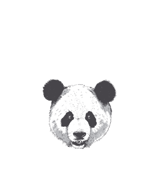 Cap de panda model alb pe tricou