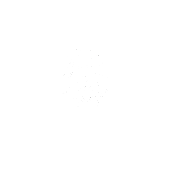 Nu mă face să-mi folosesc vocea de dinainte de cafea model negru pe tricou
