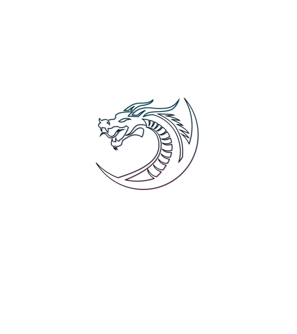 Dragon Tribal model negru pe tricou