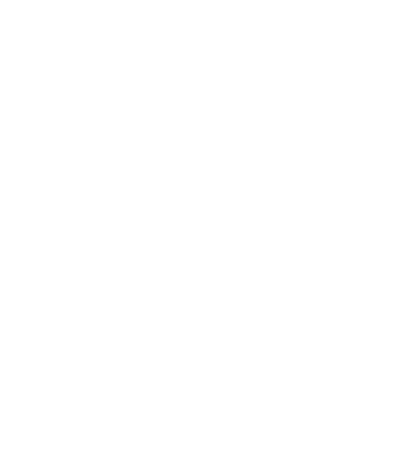 Love hochei model negru pe tricou