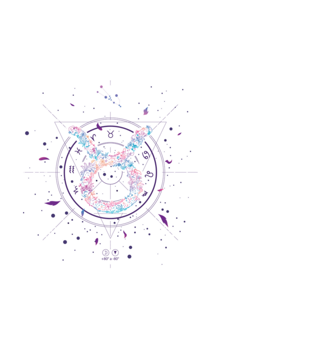 Taurus Zodiac model alb pe tricou