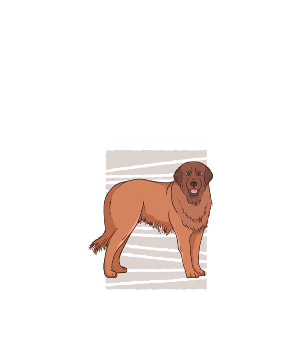 Câine ciobănesc Leonberg model negru pe tricou
