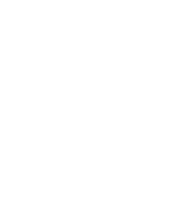 Craniu model albastru jeanși pe tricou