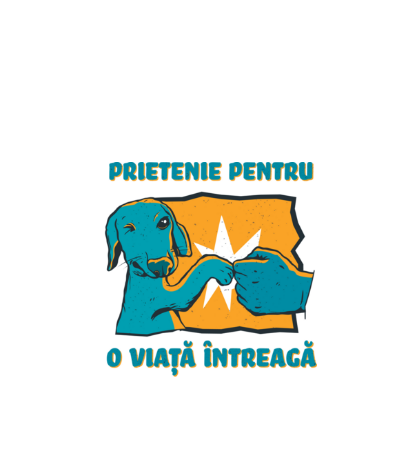 Prietenie pentru o viață întreagă model alb pe tricou