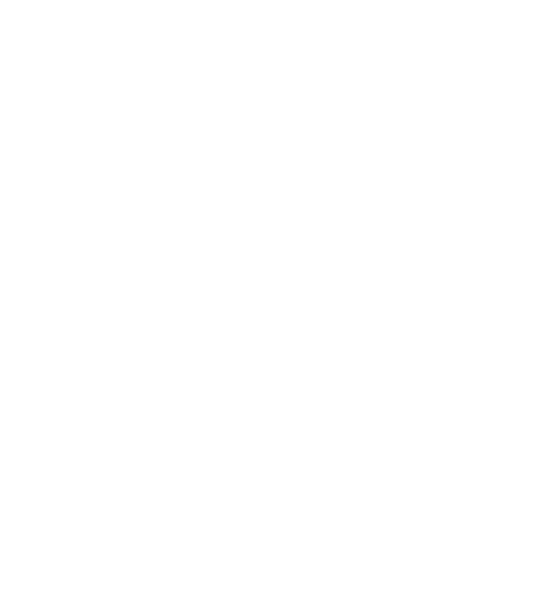 Craniu Viking model negru pe tricou