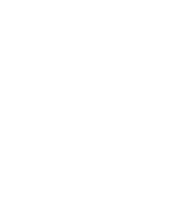 Craniu Viking model negru pe tricou