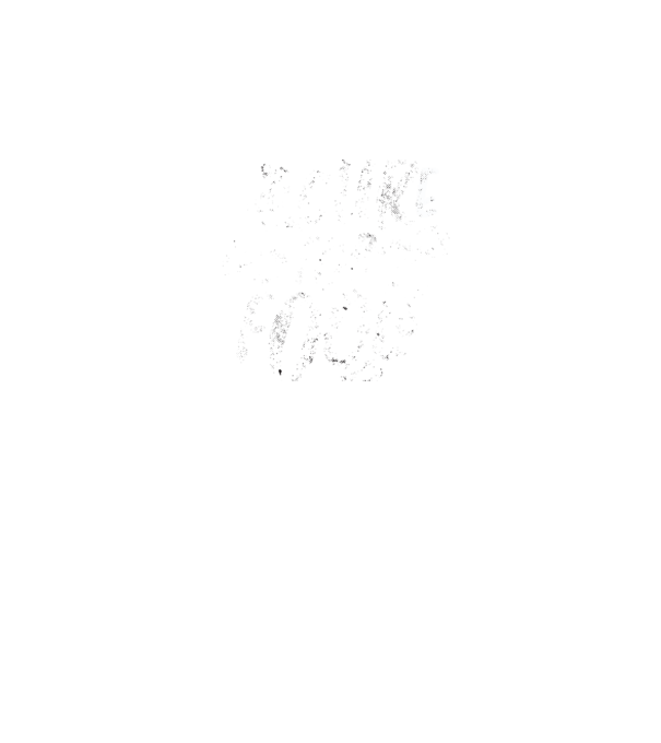 No cure for Fools - Nu există leac pentru proști model negru pe tricou