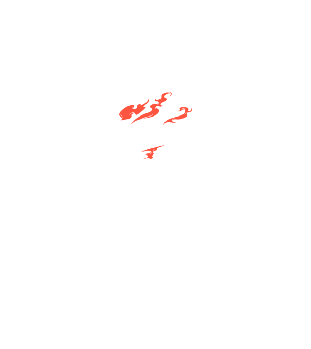 Detector de metale Casetă model negru pe tricou