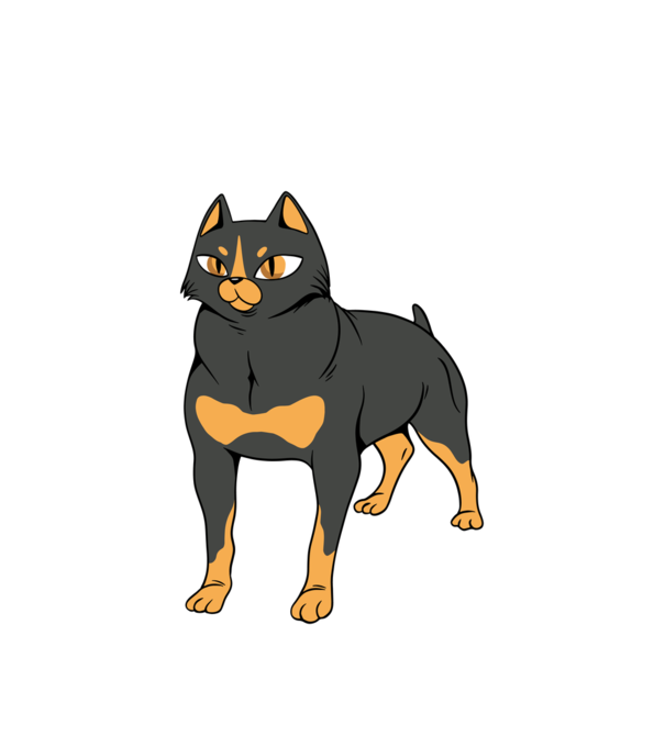 Rottweiler pisică model alb pe tricou
