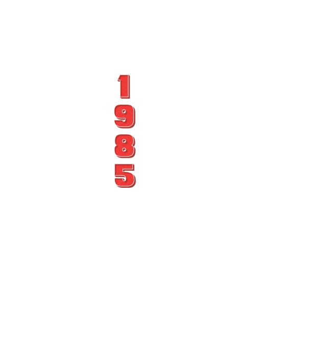 1985 the birth of legends model negru pe tricou