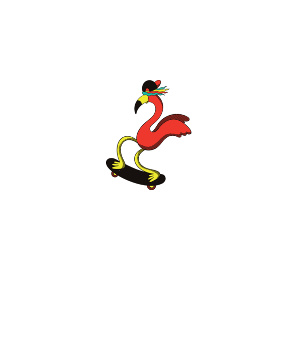 Flamingo Skateboarder model alb pe tricou