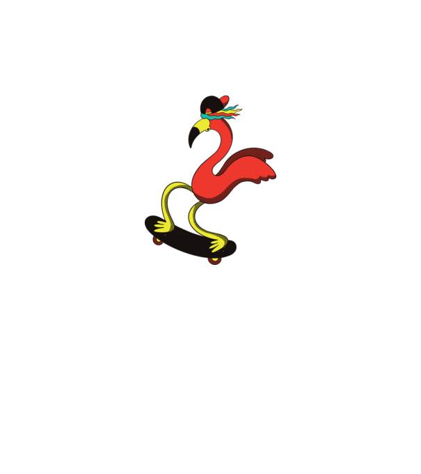 Flamingo Skateboarder model alb pe tricou