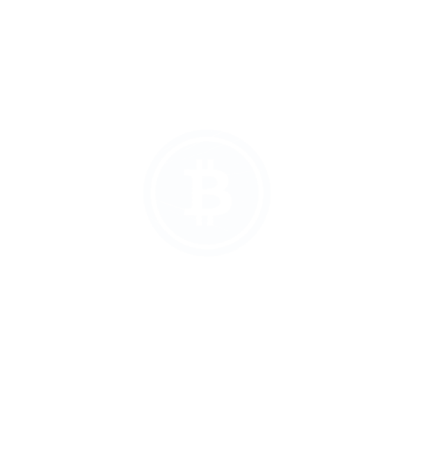 Bitcoin logo model gri pe tricou