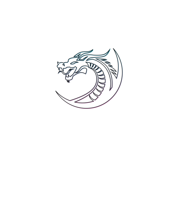 Dragon Tribal model negru pe tricou