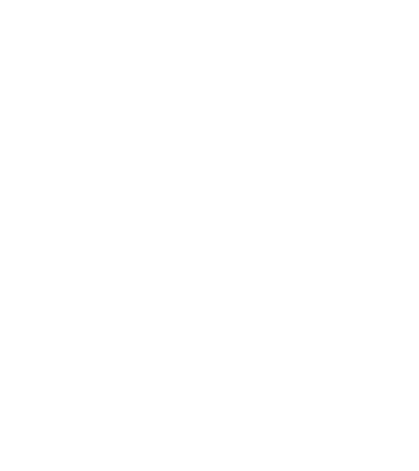 Love hochei model negru pe tricou