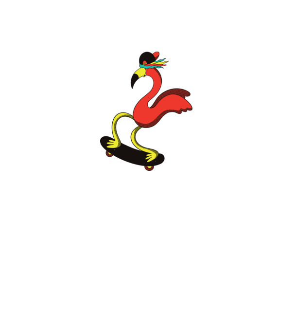 Flamingo Skateboarder model alb pe tricou