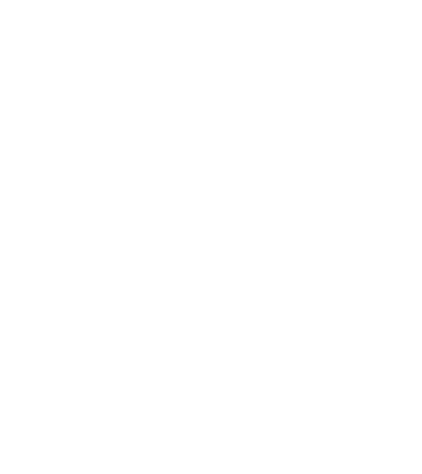 Taur puternic model alb pe tricou