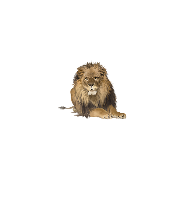 lion king model albastru deschis pe tricou