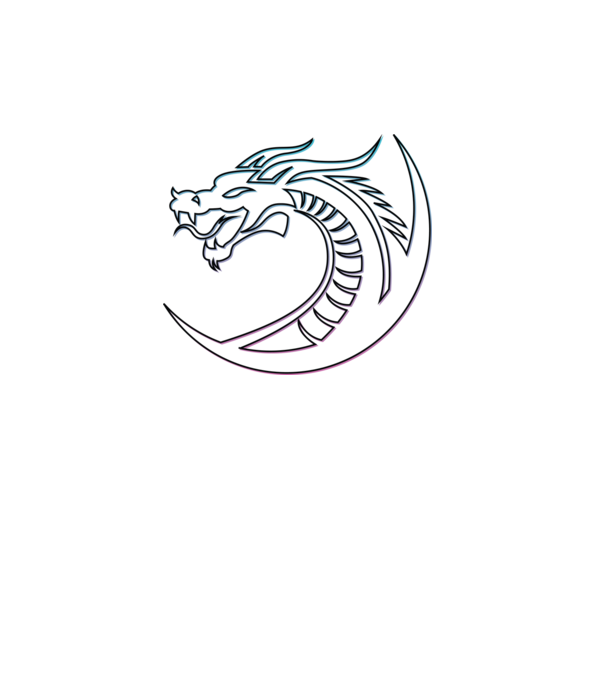 Dragon Tribal model turcoaz pe tricou