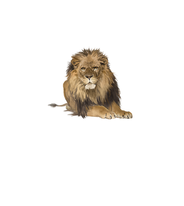 lion king model roz pe tricou
