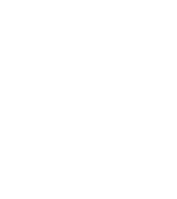 Craniu Viking model negru pe tricou