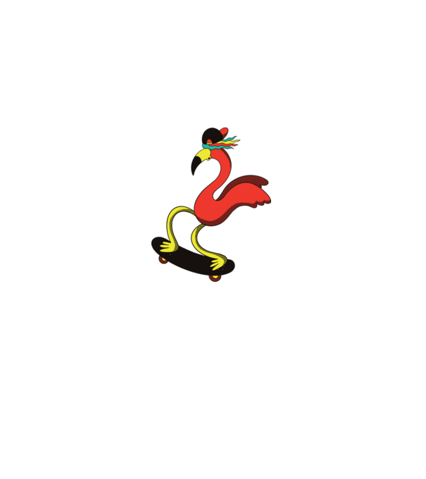 Flamingo Skateboarder model alb pe tricou