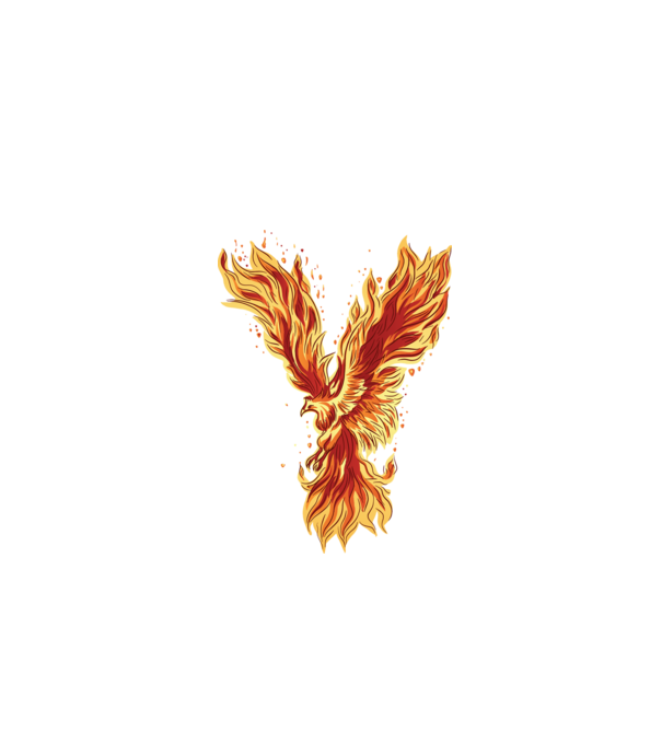 Pasărea Phoenix model negru pe tricou
