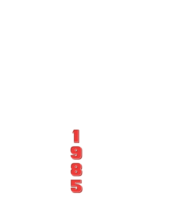 1985 the birth of legends model albastru închis pe tricou