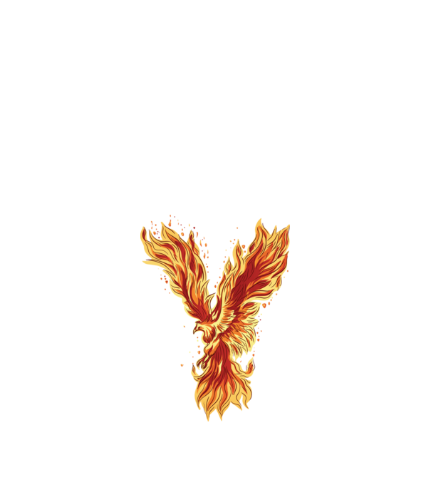 Pasărea Phoenix model negru pe tricou