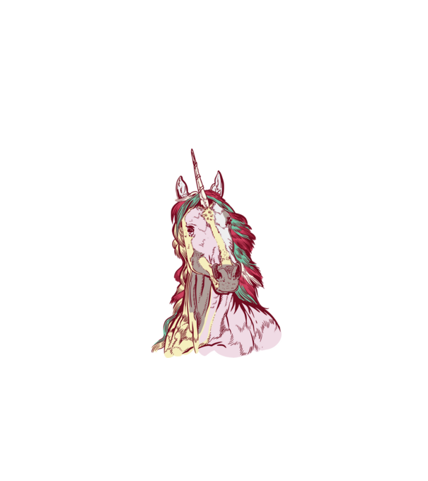 Unicorn colorat model negru pe tricou