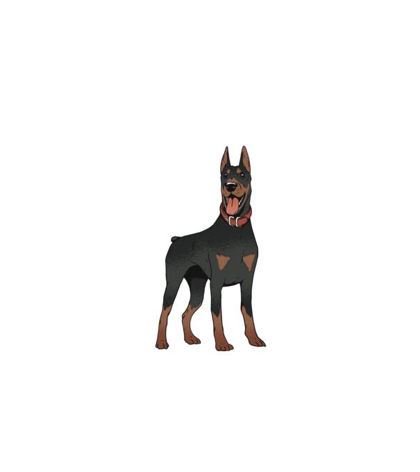 Tricou cu câine dobermann model gri pe tricou