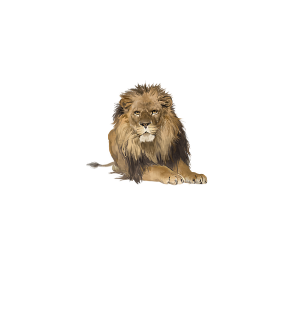 lion king model gri pe tricou