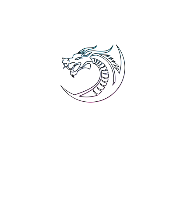 Dragon Tribal model negru pe tricou