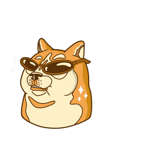 Doge Coin model alb pe tricou