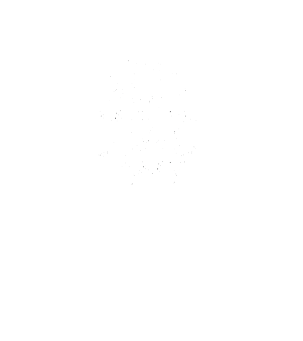 Nu mă face să-mi folosesc vocea de dinainte de cafea model negru pe tricou