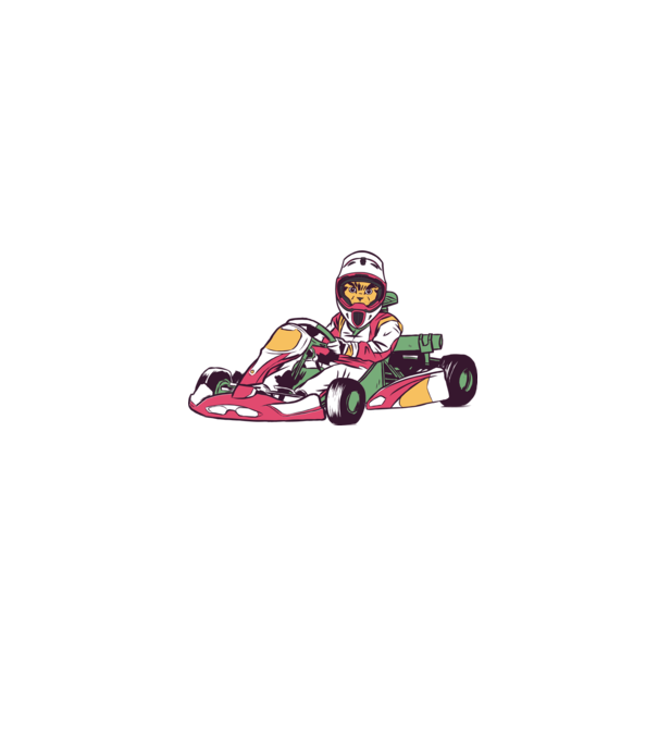 Pisică gokart model turcoaz pe tricou