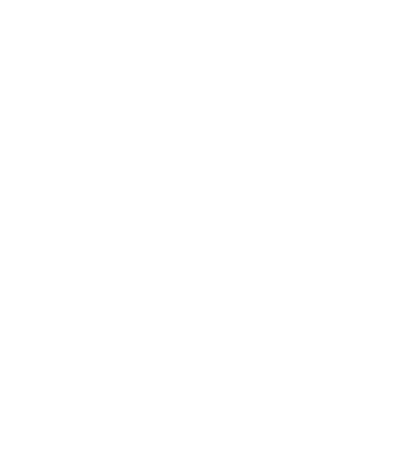 Craniu Viking model negru pe tricou