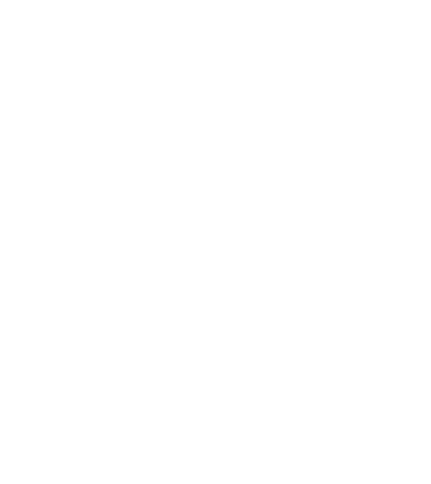 Love hochei model negru pe tricou