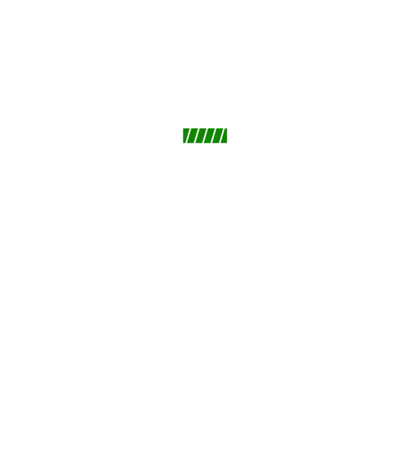 Quarantine ready model gri pe tricou