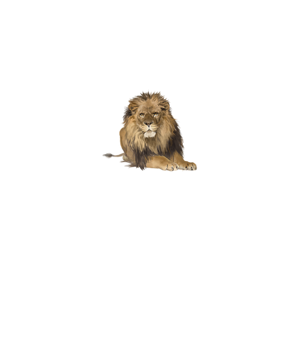 lion king model gri pe tricou