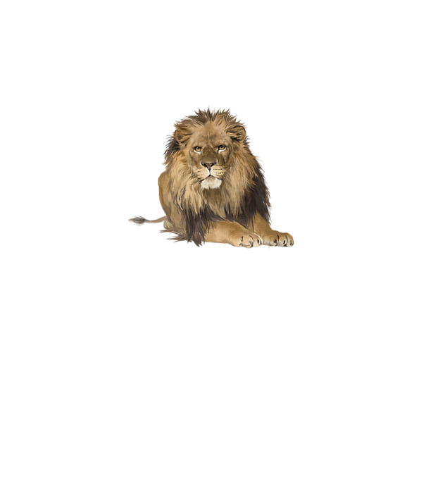 lion king model gri pe tricou