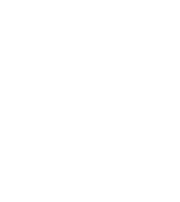 Craniu Viking model negru pe tricou