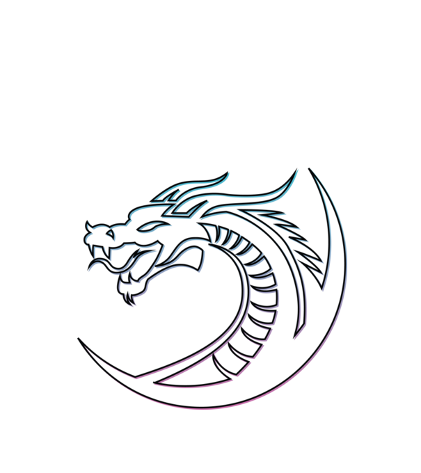 Dragon Tribal model negru pe tricou