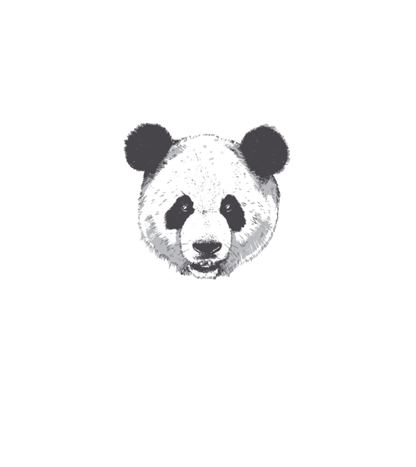 Cap de panda model alb pe tricou