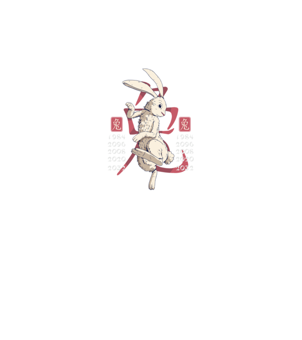 Year of the Rabbit model negru pe tricou